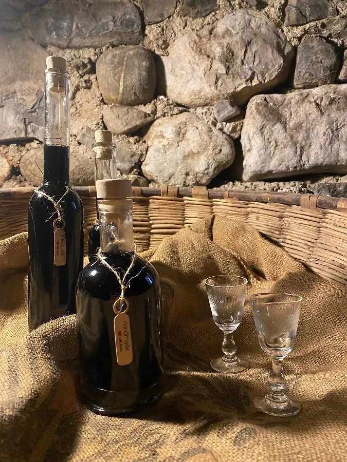 Il Mallo Verde - Lake Como B&B Mandello del Lario