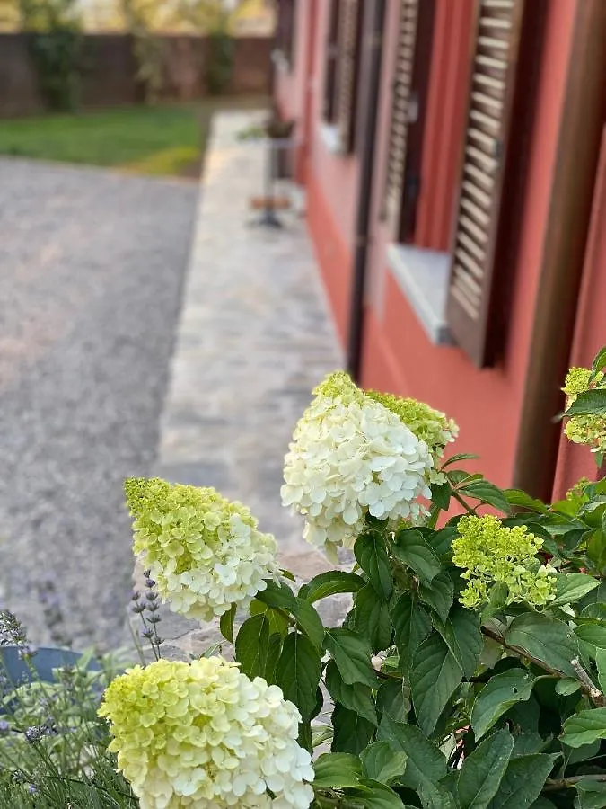 Couette-café Il Mallo Verde - Lake Como B&B Mandello del Lario Italie